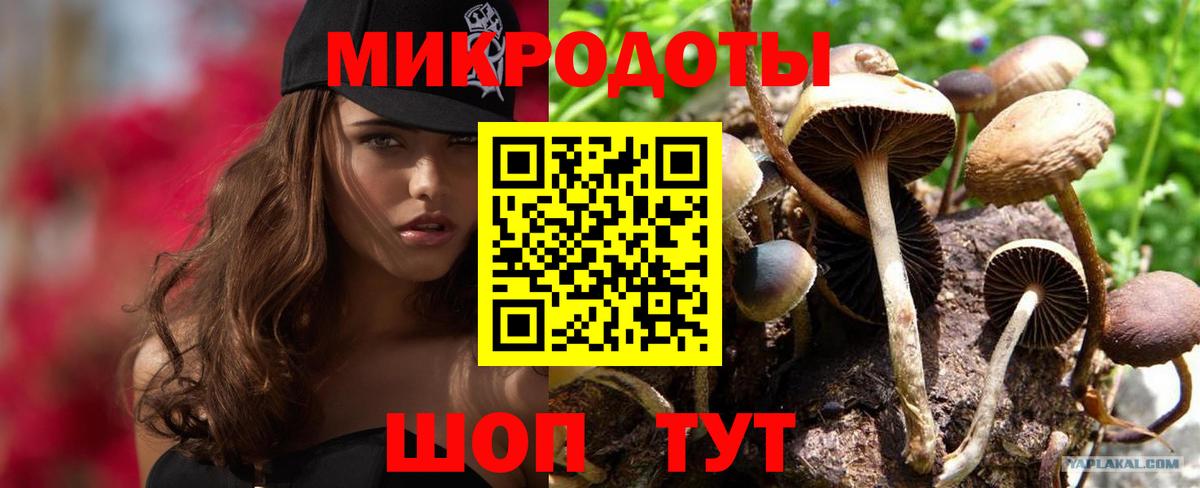Кызыл  Галлюциногенные грибы Cubensis  Вход с VPN 
